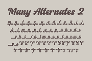 Hadyan, a Script Font by ahweproject (Thumbnail 13 of 15)