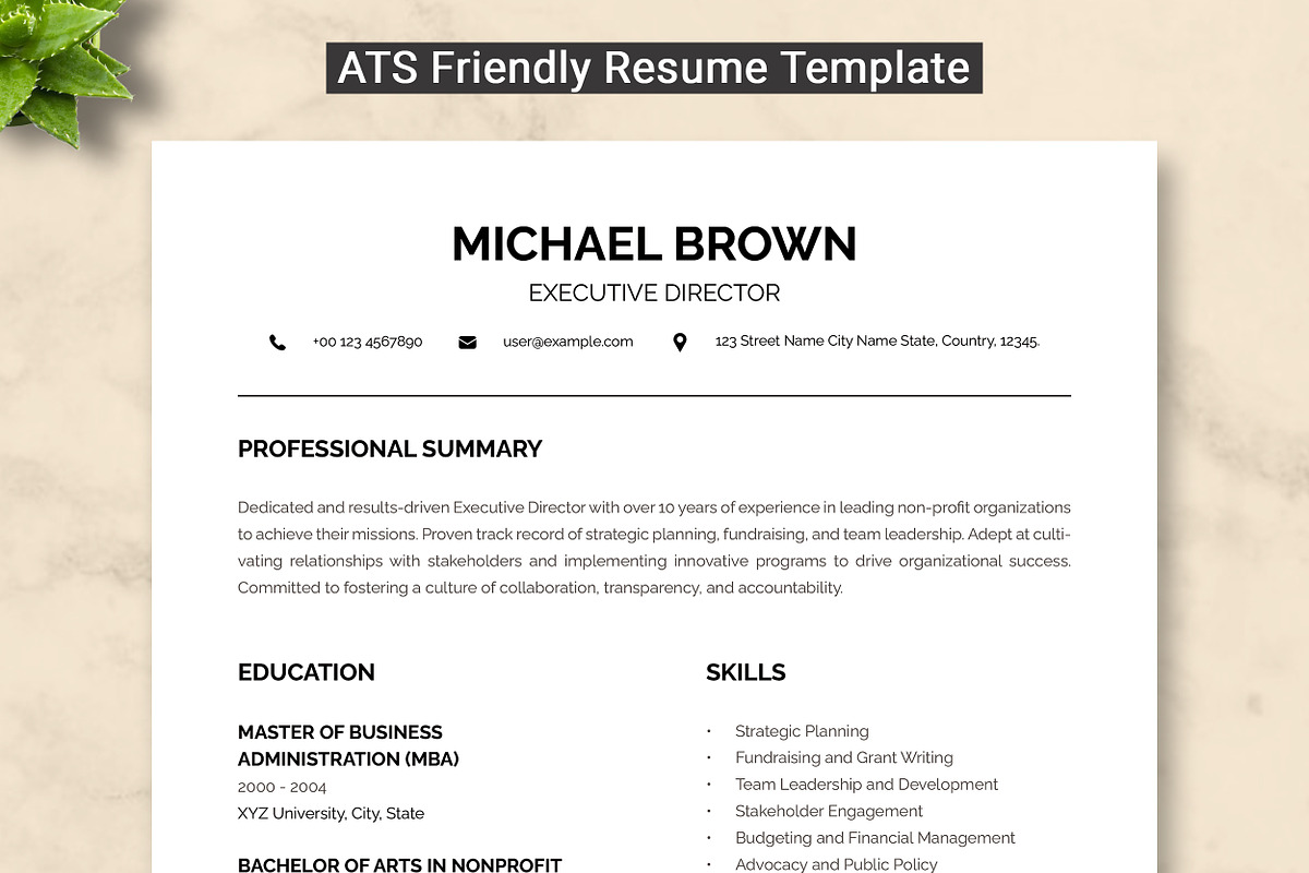 Executive Director Resume Template, a Resume Template by ResumeInventor (Photo 1 of 9)