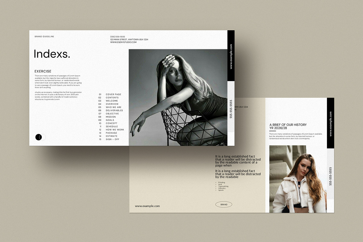 Brand Guidelines Presentation Templa, a Presentation Template by Alvi-Studio (Photo 3 of 7)