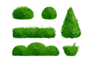 Realistic hedge. Hedges vegetation, a Graphic by Stock-Smart-Start