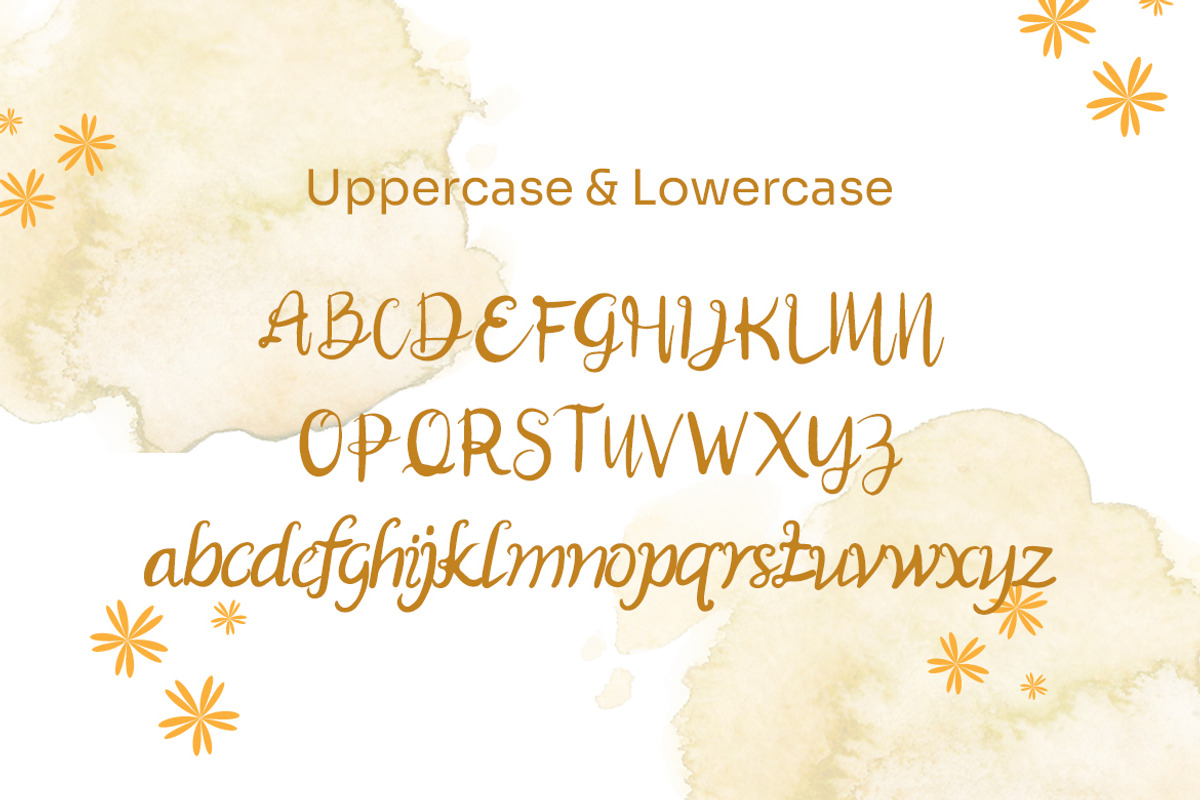 Ayeilla - Simple Script Font, a Script Font by Dhabee (Photo 5 of 7)