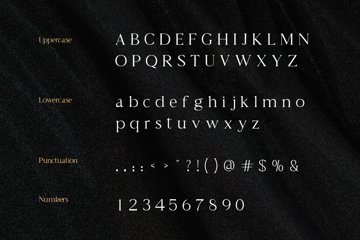 Seraphile Elegant Serif Font, a Serif Font by Vadovastd (Photo 2 of 7)