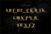 Guitar Rocker, a Serif Font by Letterara (Thumbnail 14 of 15)