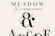 Meadow Wildflower Graphics, an Illustration by Twigs and Twine (Thumbnail 9 of 14)