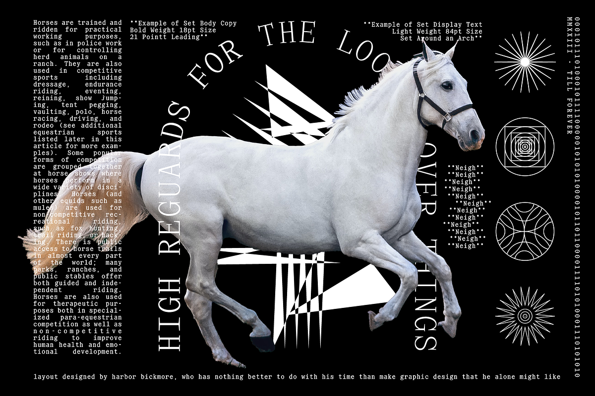 Virgil Monospaced Font, a Serif Font by That That Creative (Photo 8 of 8)