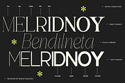 Bentona Athiroen Complete| 405 Style, a Serif Font by IM Studio (Thumbnail 11 of 12)