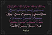 Castle Combe Elegant Script, a Script Font by The Traveling Fox (Thumbnail 2 of 3)