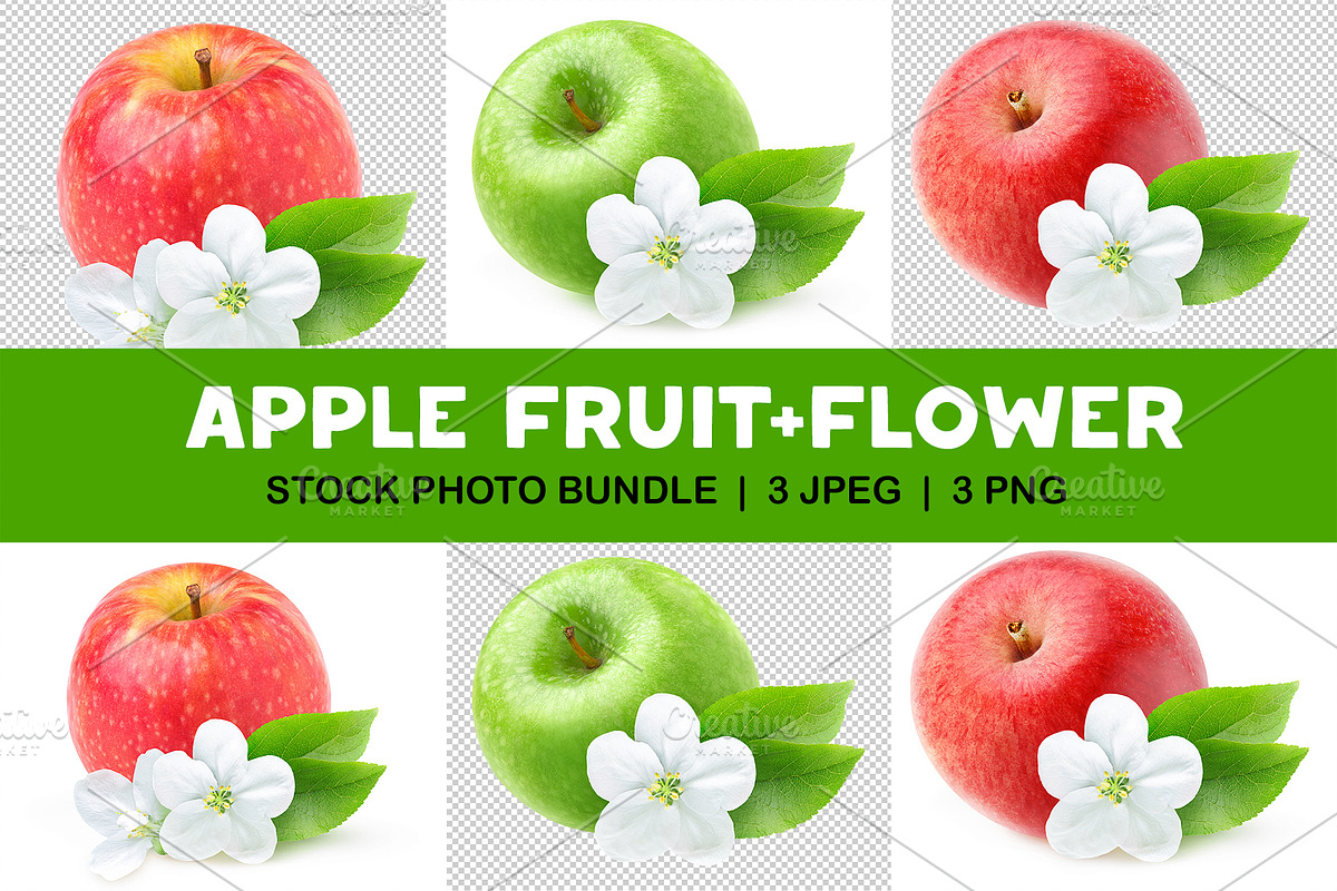 Isolated red apple and apple blossom, an Object Graphic by Fruits+Veggies (Photo 1 of 4)