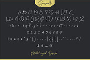 Sanpaullo - Signature Font, a Script Font by Garisman Std (Thumbnail 4 of 8)