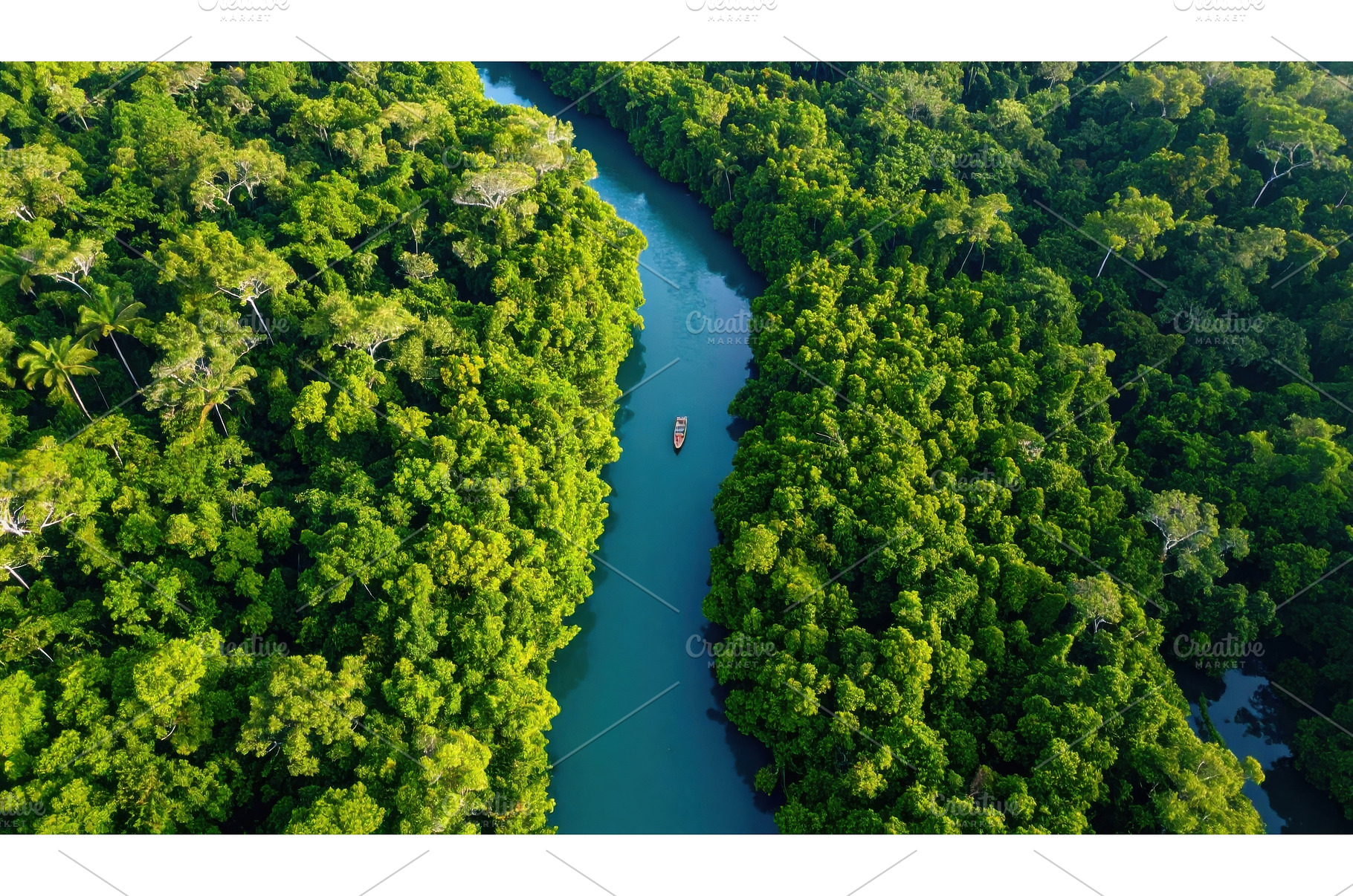Aerial view of a lush green, an Animal Photo by Igor Tichonow