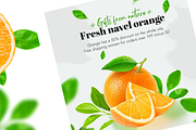 Fresh navel orange - Social Media, a Social Media Template by FoxStore (Thumbnail 3 of 5)