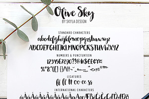 Modern Brush Font, Olive Sky