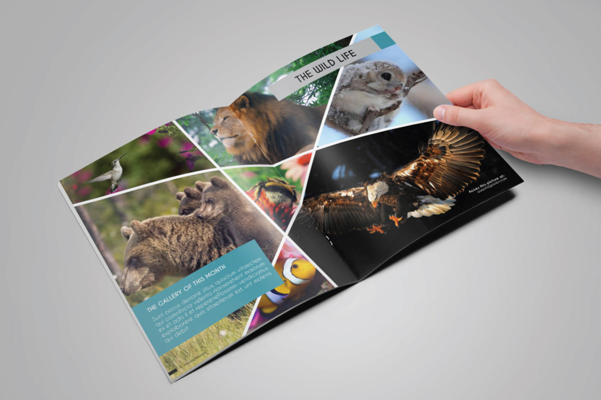 Mega Bundle Magazine Collection, a Magazine Template by voryu (Photo 3 of 6)