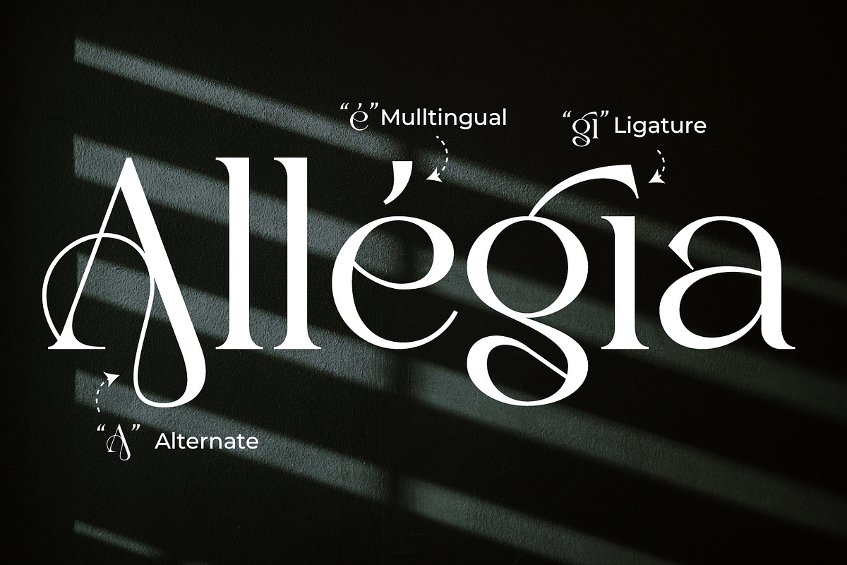 Barefuel - Serif Typeface Font, a Serif Font by Rishsketch (Photo 9 of 15)