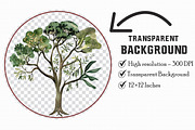 Watercolor Palm Tree Clipart, an Illustration by Libby Wishes (Thumbnail 2 of 7)