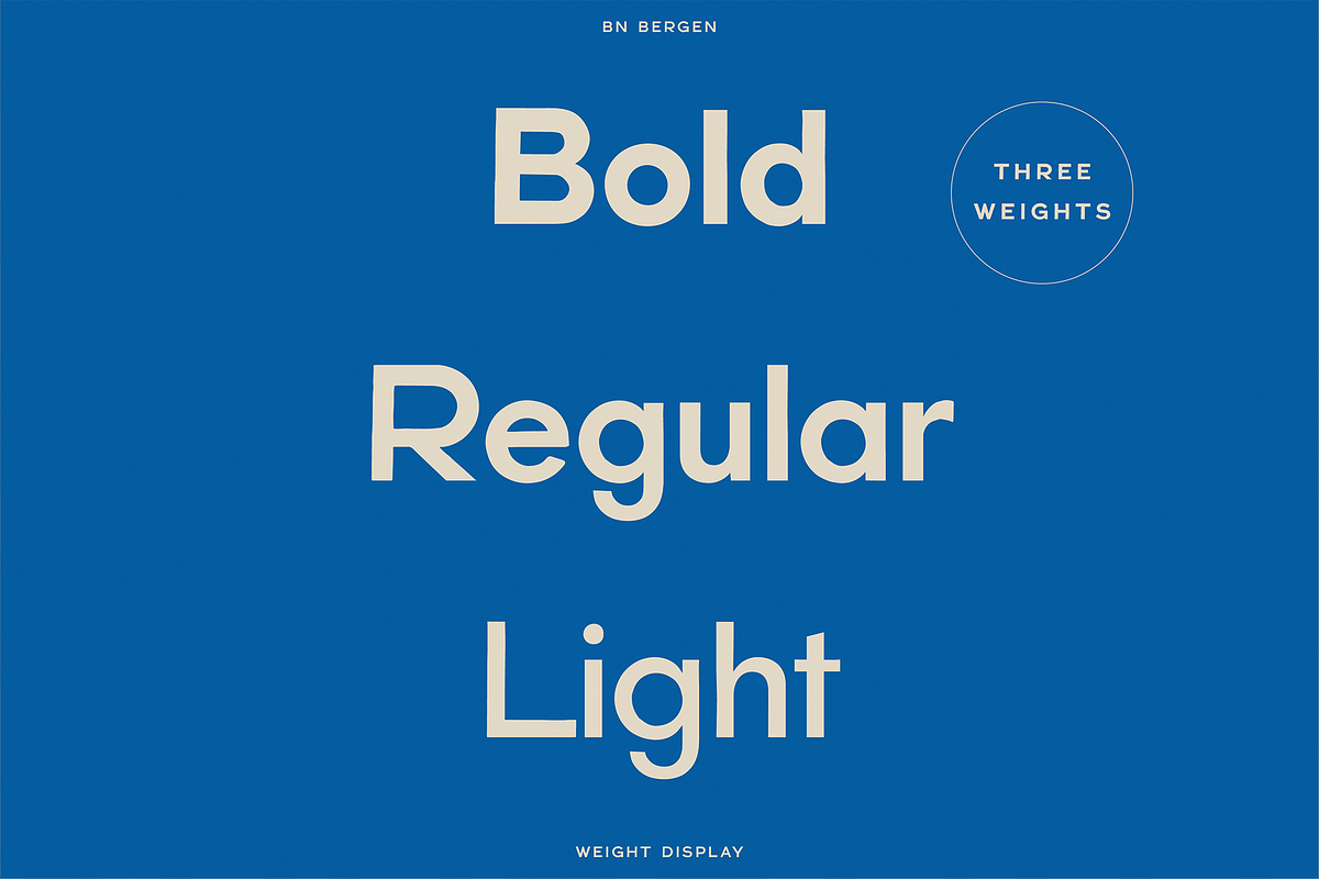 BN Bergen, a Sans Serif Font by Bnick (Photo 2 of 11)