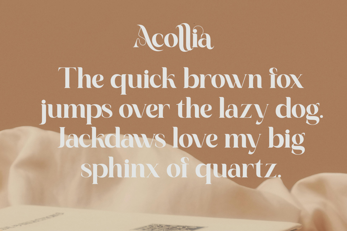 Acollia, a Serif Font by saemoon creative (Photo 2 of 13)
