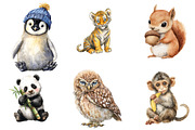 Baby Animal PNG Clipart, an Illustration by DreamArtGraphic (Thumbnail 5 of 5)