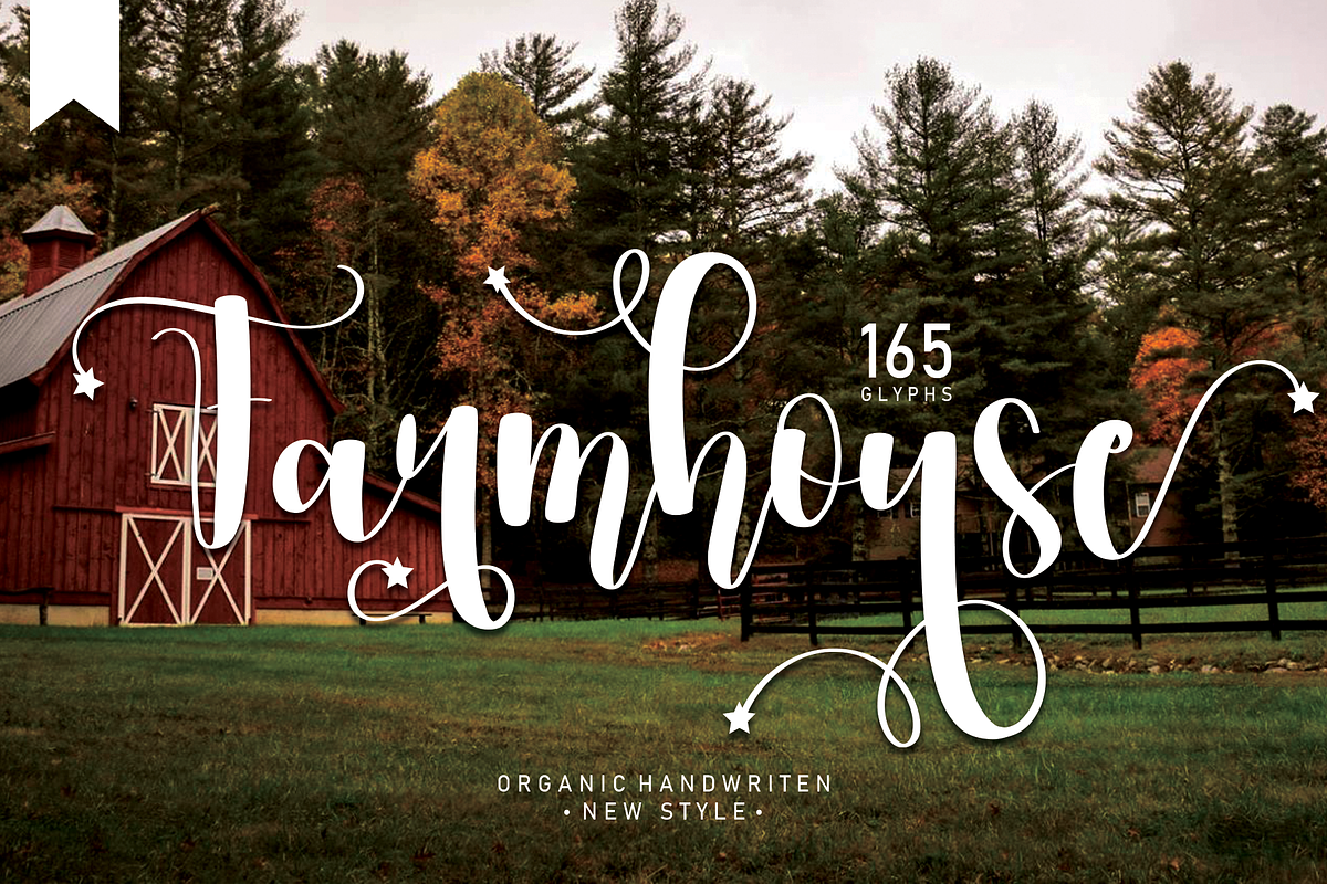 Beautiful Font Bundles Collections, a Script Font by Scratchones (Photo 20 of 24)