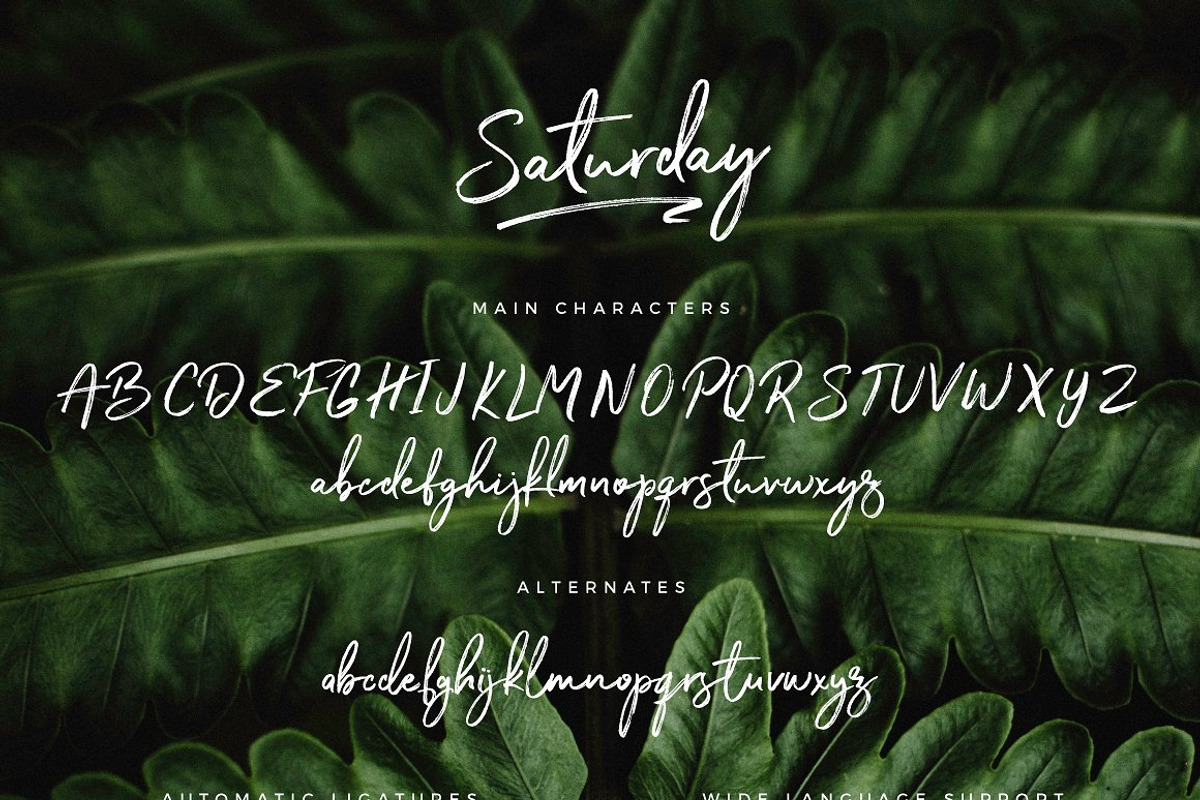 Typographer's Dream Box + 200 Logos, a Script Font by Mats-Peter Forss (Photo 32 of 130)