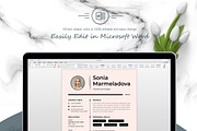One-Page Resume for Professionals, a Resume Template by ResumeInventor (Thumbnail 4 of 5)