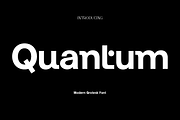 Quantum - Modern Grotesk Font, a Sans Serif Font by Luna Shop (Thumbnail 1 of 14)