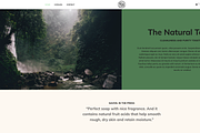 Shopify Candle Theme Light Green, a Templates & Theme by Exclusive Themes (Thumbnail 4 of 10)