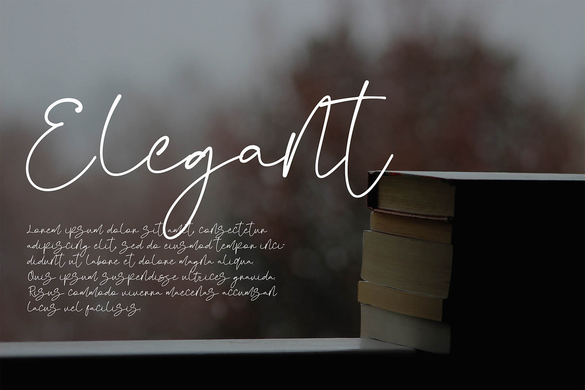 Fanita Pricia - Elegant Script Font, a Script Font by NTC Graphic (Photo 3 of 9)