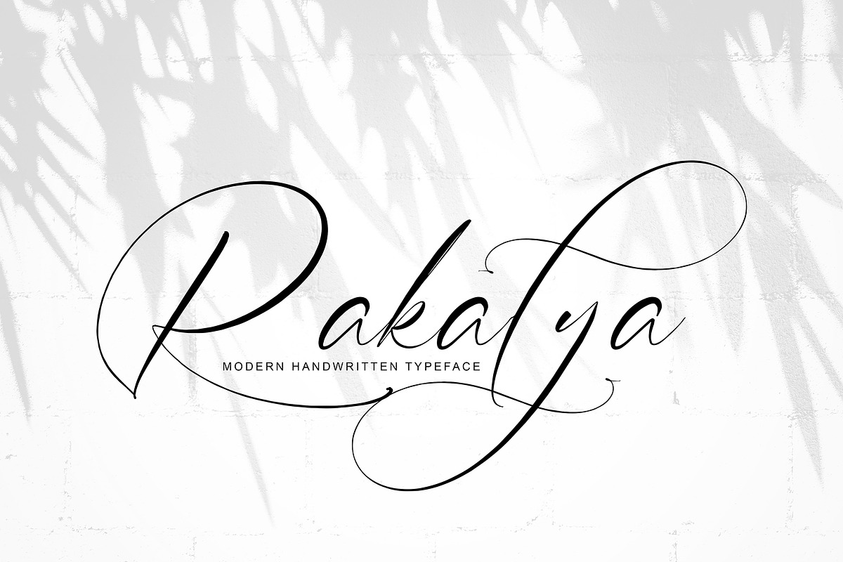 Angibusa, a Script Font by pineungtype (Photo 6 of 11)