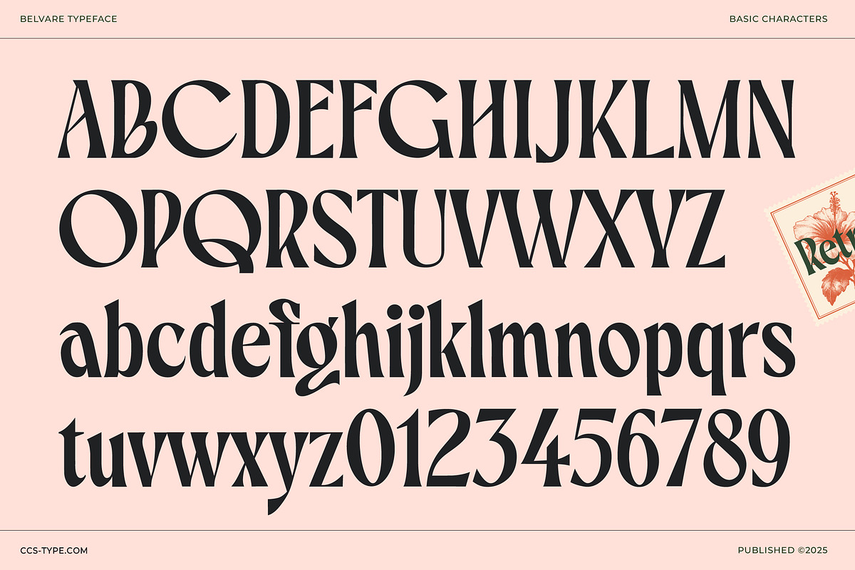 Belvare - Retro Aesthetic Serif, a Serif Font by CCS Type (Photo 20 of 22)