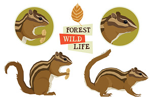 Chipmunk Forest Wildlife set