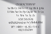 Silorin || Modern Serif Font, a Serif Font by Ermedia Studio (Thumbnail 8 of 10)