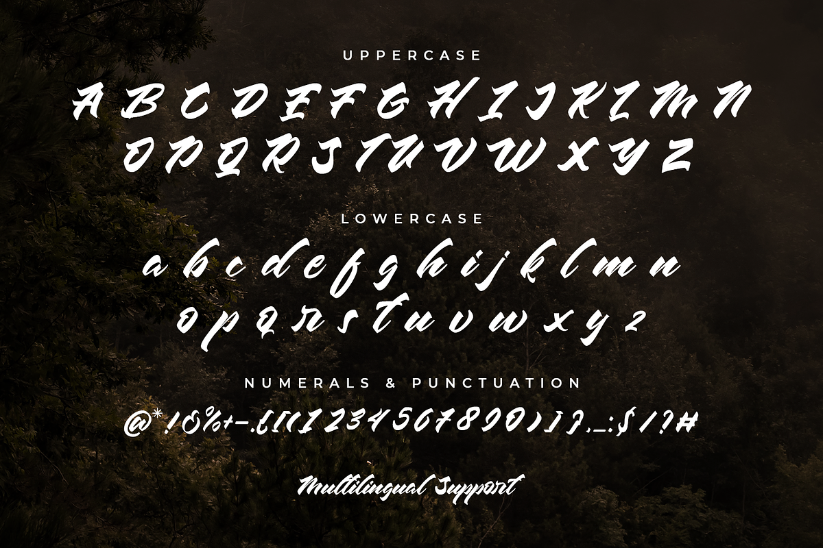 Chesnut Modern Script Font, a Script Font by edukka (Photo 2 of 10)