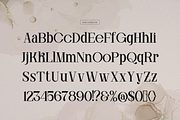 Ronale Classic | Handmade Serif, a Serif Font by gracetype_studio (Thumbnail 10 of 12)