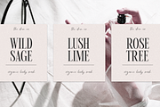 Wild Dove | Tall Serif Font, a Serif Font by KA Designs (Thumbnail 2 of 17)