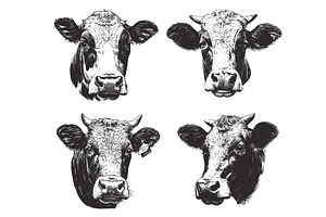 Hand drawn cow portrait set. Farming, an Animal Illustration by Stock-Smart-Start