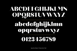 Quiche Fine Black Font