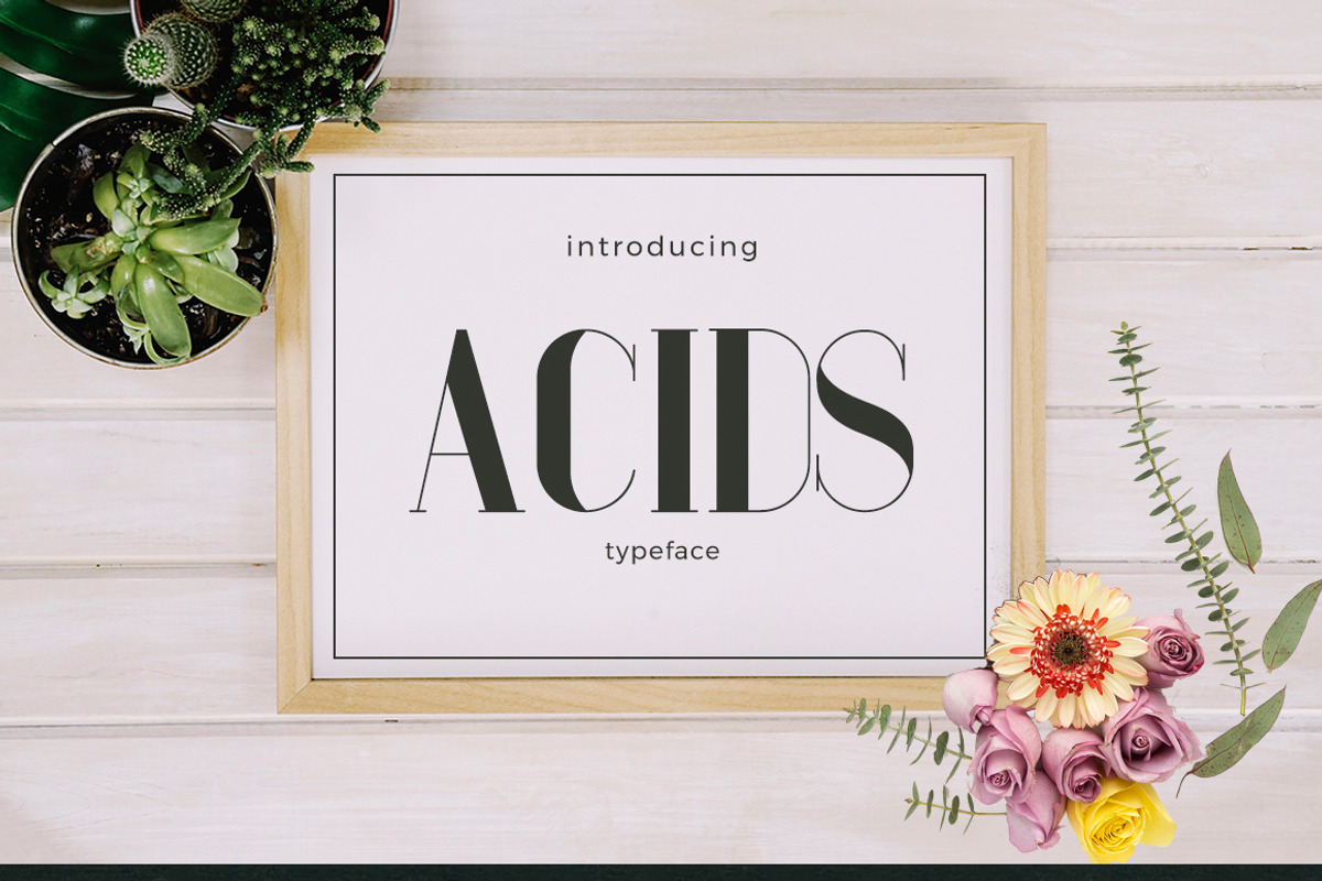 Best Typefaces Fonts preview 5