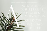 Cremore - Luxury Serif Typeface, a Serif Font by Muflieart (Thumbnail 9 of 10)