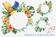 Parrots & tropical leaves watercolor, an Animal Illustration by NATASHA CHU (Thumbnail 6 of 21)