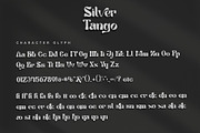 Tango Silver, a Serif Font by Letterara (Thumbnail 8 of 10)
