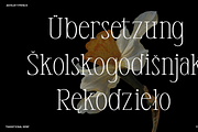 Anyelir Display - Condensed Serif, a Serif Font by Magnolitype (Thumbnail 7 of 21)