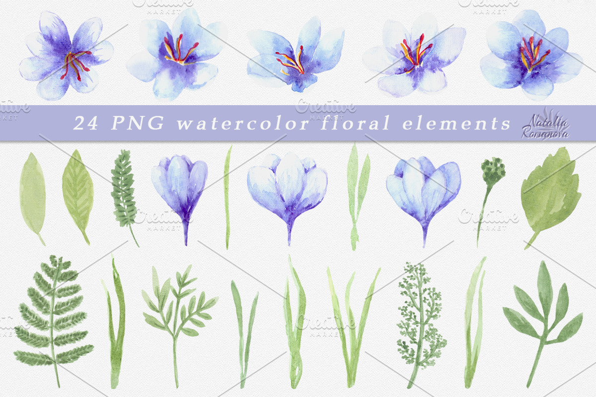 Saffron set. Watercolor., an Illustration by BrushArtDesigns (Photo 2 of 7)