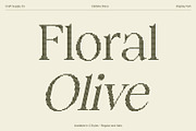 Dalbine Disco, a Serif Font by Craft Supply Co. (Thumbnail 3 of 8)