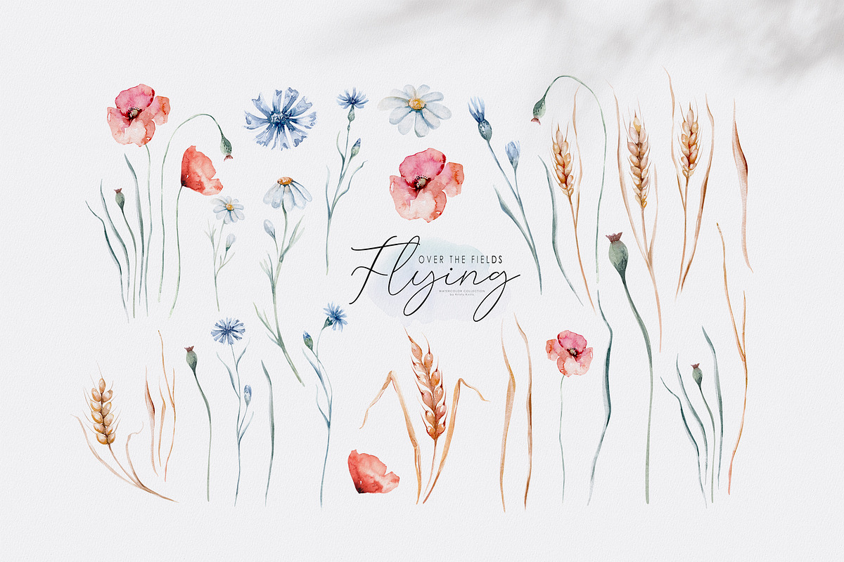 Storks and wild flowers collection, an Animal Illustration by Peace ART (Photo 3 of 15)