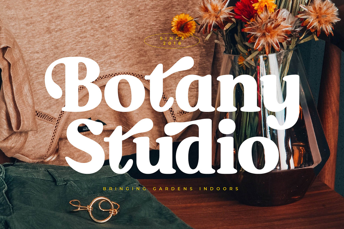 Mistys Relrica  Modern Retro Serif, a Serif Font by Letterena Studios (Photo 11 of 15)