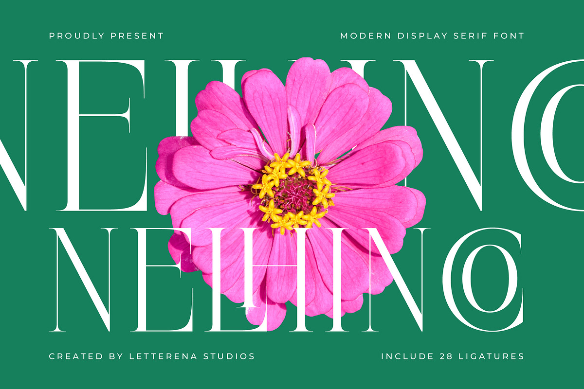 Nelhinco Modern Display Serif, a Serif Font by Letterena Studios (Photo 1 of 15)