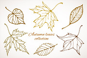 Fall leaves patterns+illustrations, a Decorative Illustration by IreneArt illustrations (Thumbnail 1 of 7)