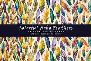 Colorful Boho Feathers