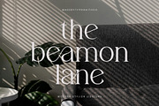 Vogane | Modern Elegant Ligature, a Serif Font by Typoraith Co (Thumbnail 3 of 11)